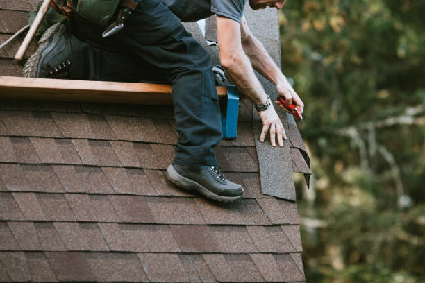 Best Roof Gutter Cleaning  in West Buechel, KY